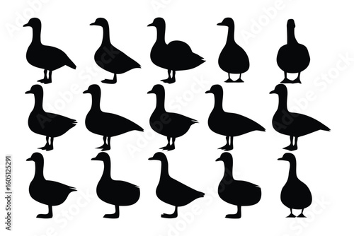 Collection of nine distinct black silhouette illustrations of turkeys in various poses and stances on a white background