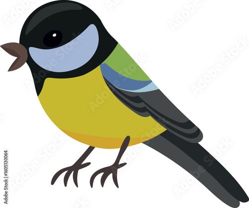 Great tit. Small songbird Parus major. Eurasian forest fauna. Flat graphic vector illustration isolated on white background.