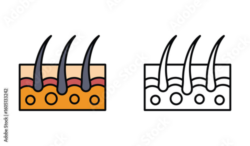 Hair Follicle Anatomy Depiction of the Different Layers on Light Background with Detailed Skin Structure