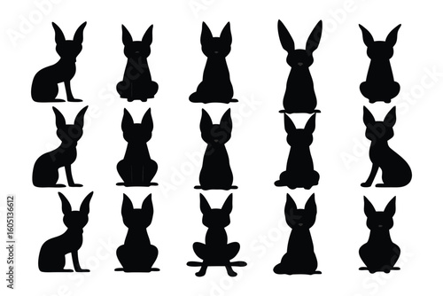 Collection of silhouetted kangaroos in various poses showcasing their distinctive anatomy and postures