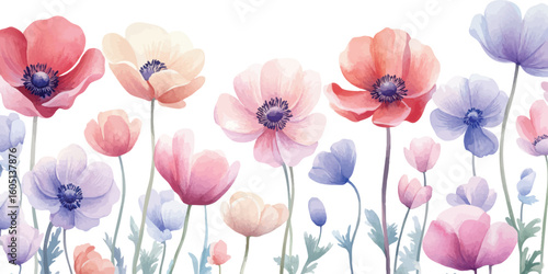 Pastel watercolor poppy field floral border design