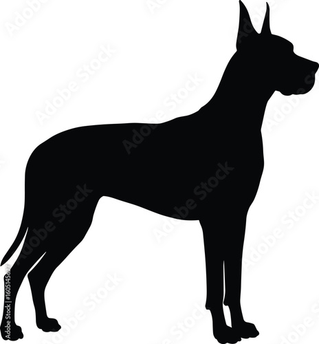 Great Dane silhouette, standing dog, majestic profile, black outline, white background, pet animal, breed illustration