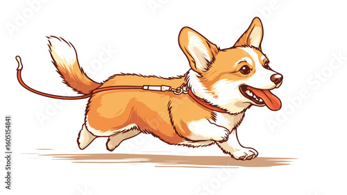 Playful Welsh Corgi Dog Escaping with Leash in Mouth