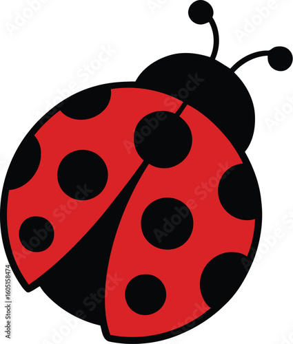 Ladybug vector icon in black and red color. Transparent background.