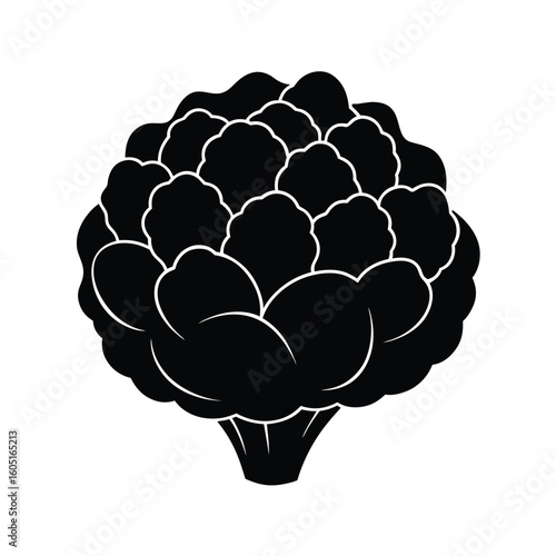 vector illustration of a cauliflower
