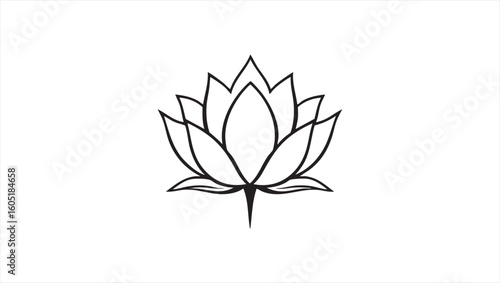 Elegant black and white lotus flower illustrations