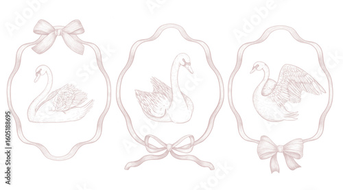 Set of three elegant vintage swan illustrations inside ornate ribbon frames. Detailed hand-drawn birds in engraving style. Ideal for wedding invitations, branding, packaging, and romantic vintage deco