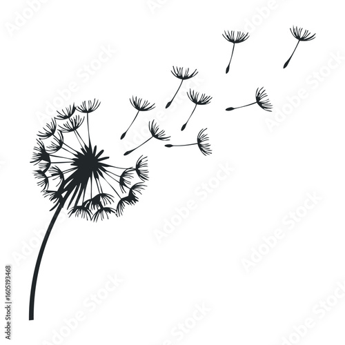 Black silhouette of dandelion with seeds blowing in the wind. Vector illustration