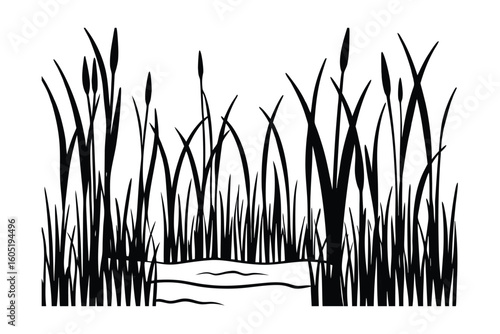 Forest Swamp Background With Reeds And Shallow Water
