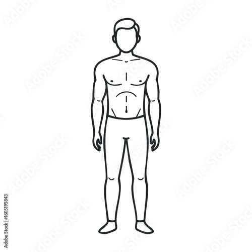 Outline of male adult caucasian body with defined muscles and neutral pose. Vector illustration