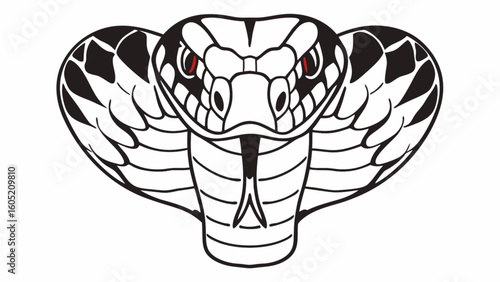 Cobra snake head illustration drawing venomous reptile danger animal wildlife serpent king cobra hood design