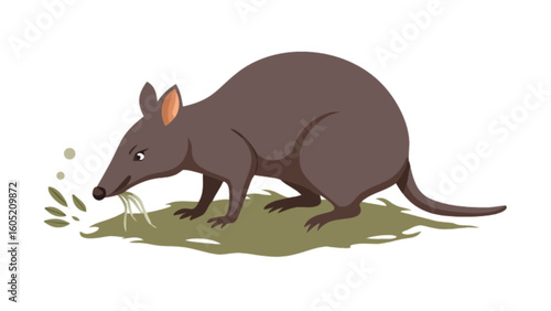 Explore the long nosed potoroo foraging for food in nature illustration vector design image art