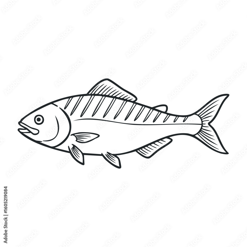 Fototapeta premium Black and white outline drawing of a salmon fish with detailed line work. Vector illustration
