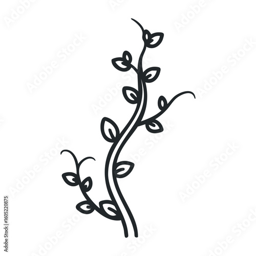 Simple black line art of botanical vine with leaves on white background. Vector illustration
