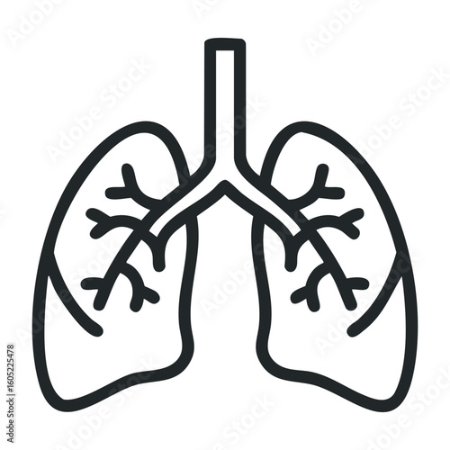 Anatomical outline of human lungs with bronchi structure in black and white. Vector illustration