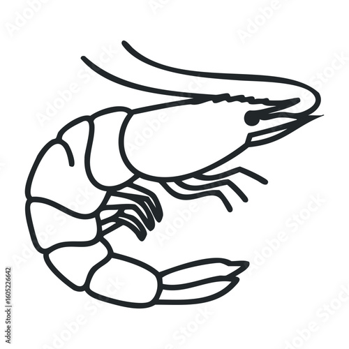 Black and white shrimp outline drawing. Vector illustration