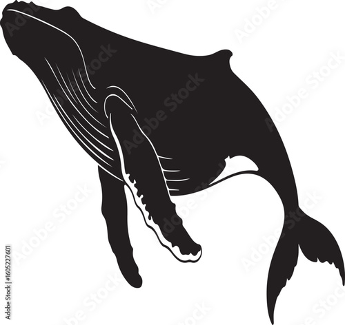Black silhouette vector illustration of a dolphin swimming in the ocean