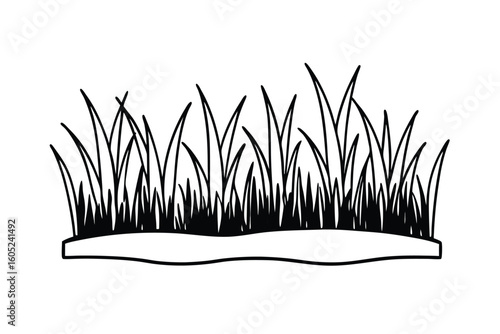 Flat Line Vector Of Marsh Terrain With Reeds
