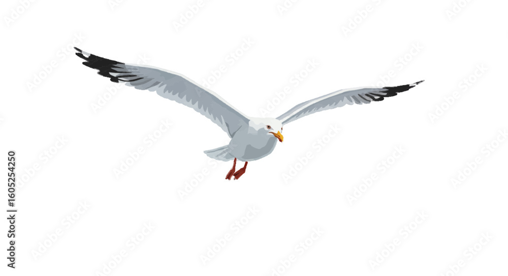 Naklejka premium seagull on white background