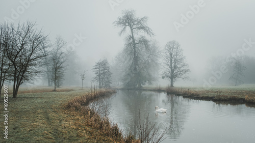 Parc du Chateau de Rambouillet dans le brouillard