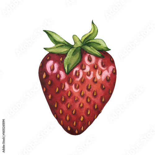 Bright and juicy strawberries isolated on white background. Vector. Watercolor illustration of ripe red berry hand painted. Strawberry isolated. Summer Clipart for tea, jam or natural cosmetics label