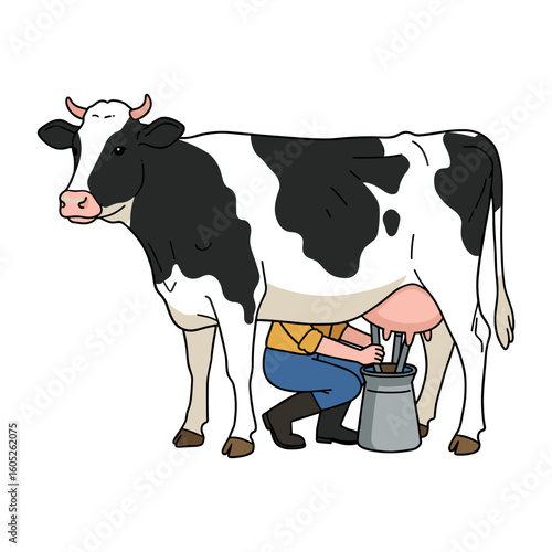 Cartoon depiction of farmer milking a black and white cow with milking bucket. Vector illustration