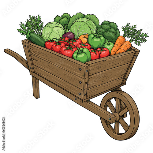 Rustic wooden wheelbarrow filled with fresh vegetables including tomatoes and cabbage. Vector illustration