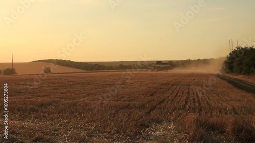 A field with a house in the distance