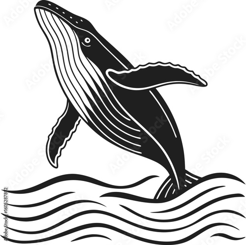 Vector art of a majestic humpback whale leaps from the ocean waves in a stylized black and white illustration