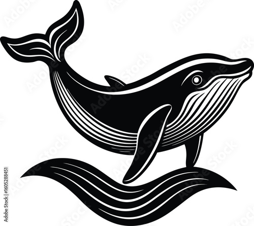 Vector art of a majestic humpback whale leaps from the ocean waves in a stylized black and white illustration