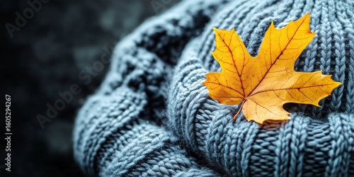 Warm Knitted Hat Decorated With a Bright Autumn Leaf Resting on a Dark Surface