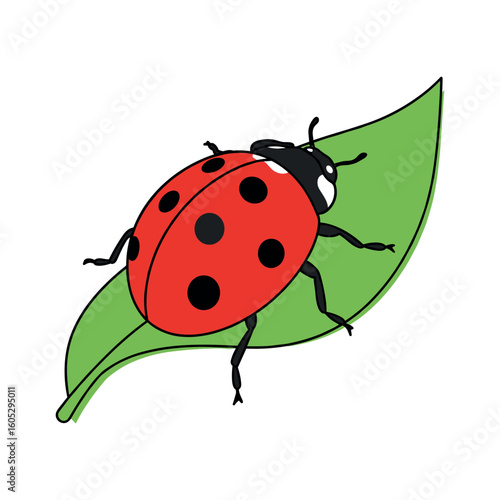 Vibrant ladybug on leaf with red shell and black spots. Vector illustration
