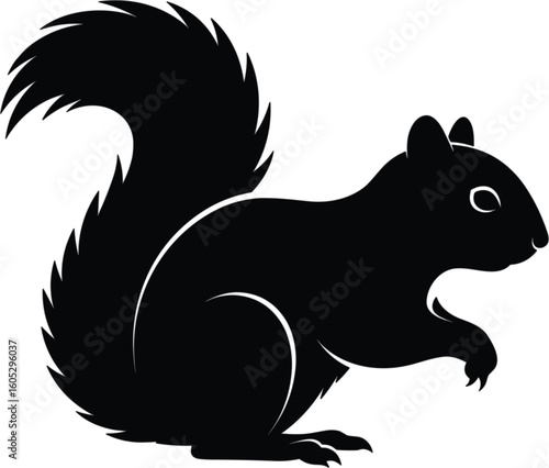 Squirrel silhouette vector, forest animal in upright pose with raised paw and curled bushy tail, black wildlife illustration on white background, isolated artwork for stock
