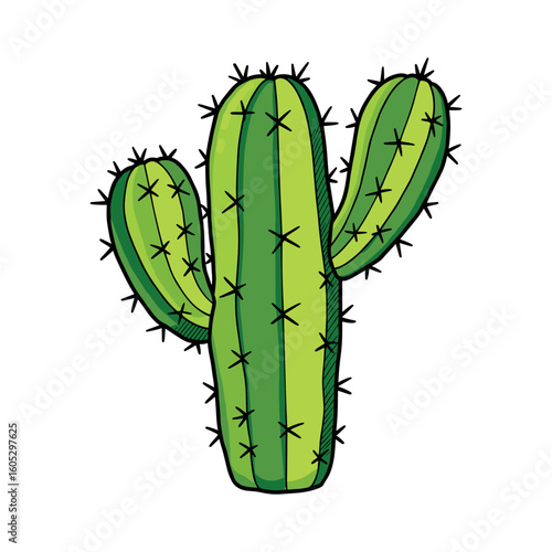Green saguaro cactus with spines. Vector illustration