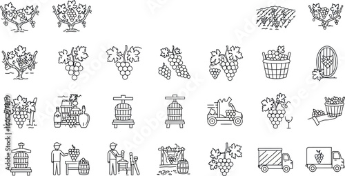 Linear vineyard icons with grapes, wine making, and harvesting elements
