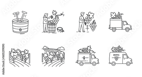 Winemaking process icons: harvesting, transportation, vineyard line art set