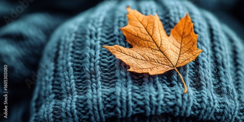 Warm Hat With Autumn Leaf Resting on Top in Cozy Indoor Setting During Fall S...