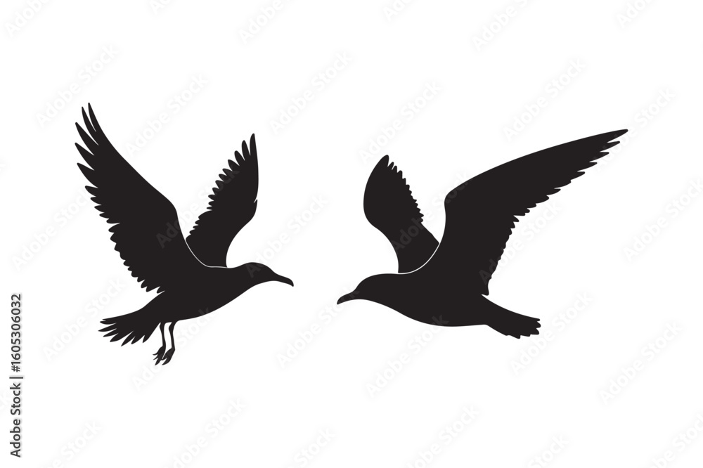 Obraz premium Silhouettes of two seagulls in flight against a white background