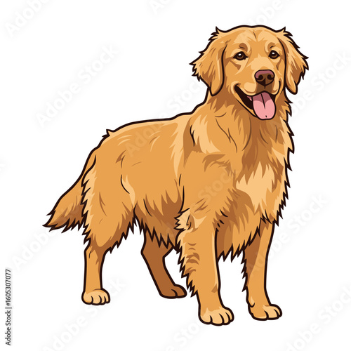 Cheerful golden retriever with tongue out and wagging tail. Vector illustration