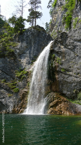waterfall in the forest
