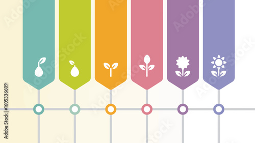 Infographic showing plant growth stages from seed to flower diagram illustration