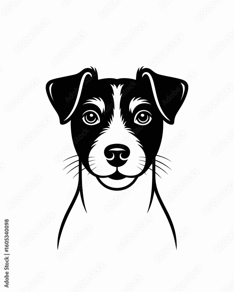 Black and white dog portrait animal Black and white dog portrait animal