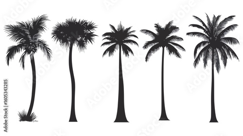 Tropical Palmetto Tree Silhouette Collection for Creative Projects