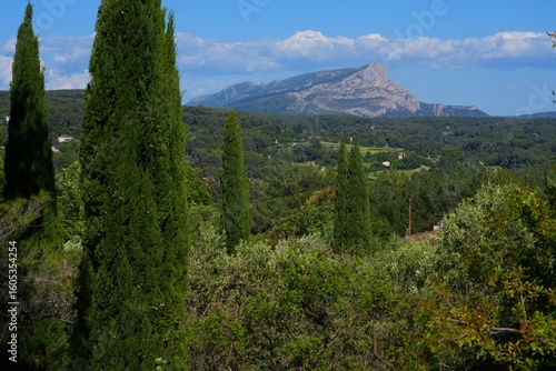 View of the Montagne Sainte-Victoire, a limestone cliff mountain painted by Paul Cezanne in Aix-en-Provence in southern France.