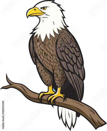 A detailed illustration of a bald eagle with its characteristic white head and brown body, perched on a branch, isolated on a white background.