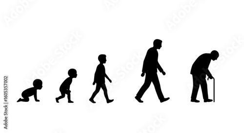 Human Life Cycle Stages Silhouette Illustration