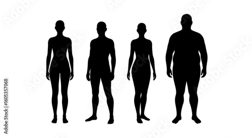 Diverse Body Types in Silhouette Male and Female Forms silhouette