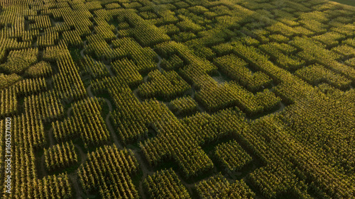 Labyrinthe végétal vu du ciel