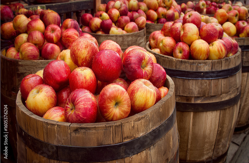 Apple barrels in a farmer's market, seasonal, fall