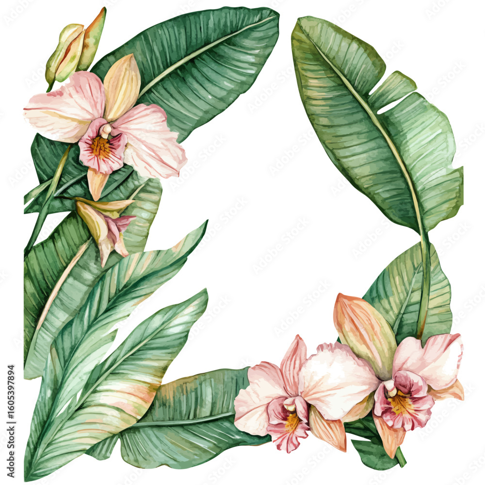 Fototapeta premium My Watercolor hand-painted jungle foliage frame with banana leaves painting illustration isolated on a white background, vector illustration, AI painting design, EPS format design. vector illustration